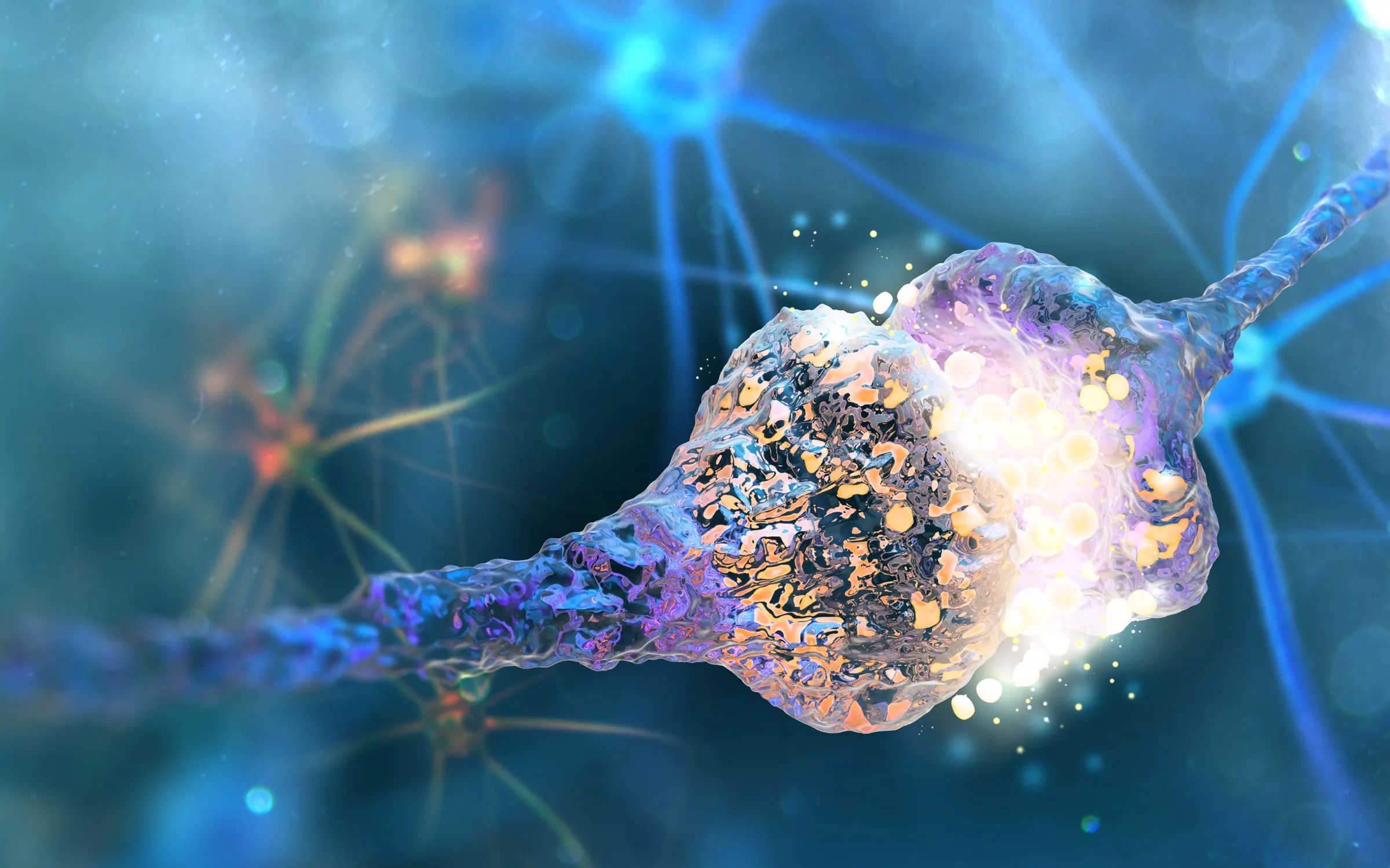 Mikroskopische Darstellung neuronaler Strukturen