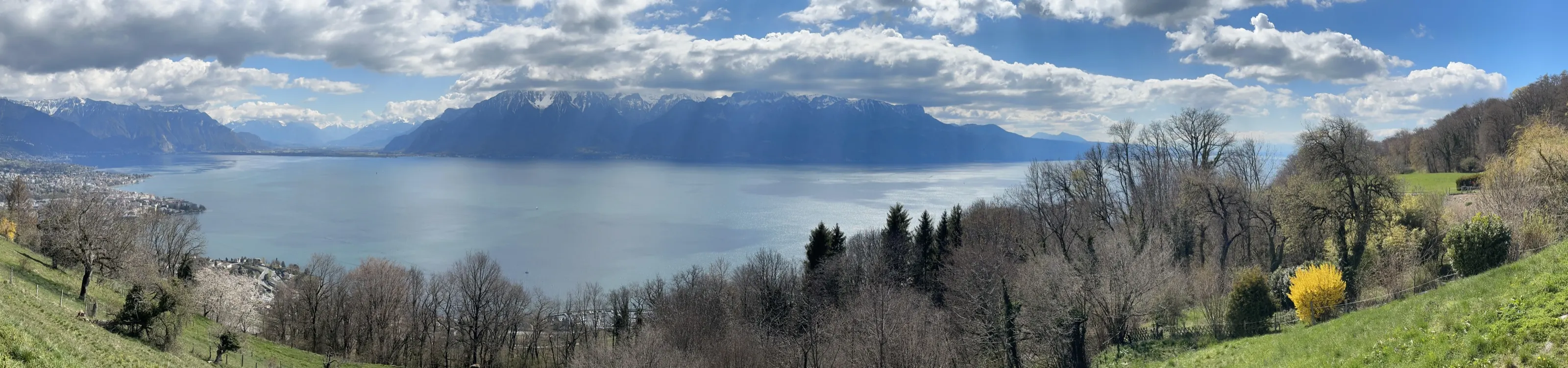 Landschaft am Genfersee